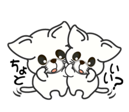 Summer of a cat sticker #6557106