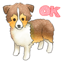 The pretty Sheltie sticker #6558264