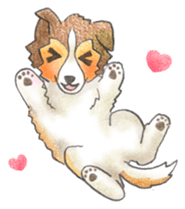 The pretty Sheltie sticker #6558270