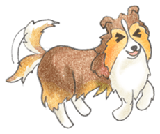 The pretty Sheltie sticker #6558272