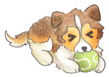 The pretty Sheltie sticker #6558275