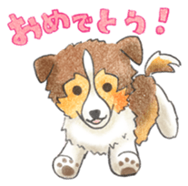 The pretty Sheltie sticker #6558277