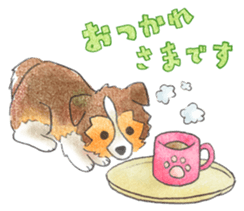 The pretty Sheltie sticker #6558292