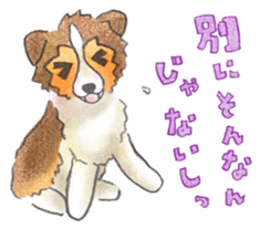 The pretty Sheltie sticker #6558294