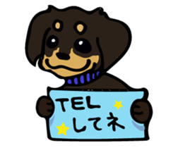 Cute my dog,Mash sticker #6561306