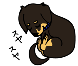 Cute my dog,Mash sticker #6561307