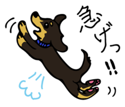 Cute my dog,Mash sticker #6561308