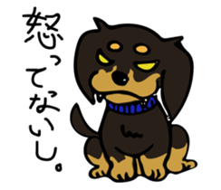 Cute my dog,Mash sticker #6561311