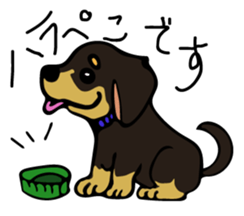 Cute my dog,Mash sticker #6561312