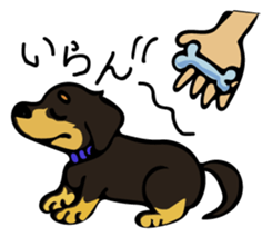 Cute my dog,Mash sticker #6561313