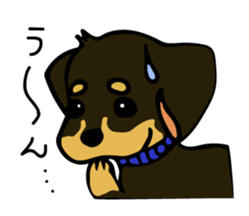 Cute my dog,Mash sticker #6561315