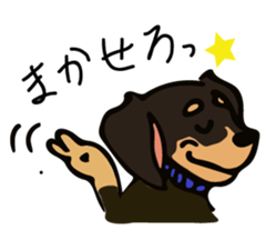 Cute my dog,Mash sticker #6561316