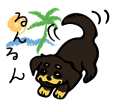 Cute my dog,Mash sticker #6561317
