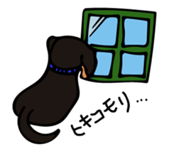 Cute my dog,Mash sticker #6561320