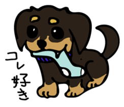 Cute my dog,Mash sticker #6561323