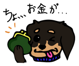 Cute my dog,Mash sticker #6561324
