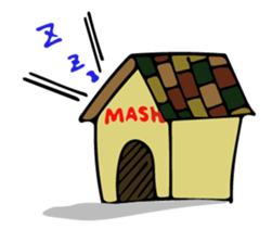 Cute my dog,Mash sticker #6561327