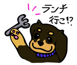 Cute my dog,Mash sticker #6561328