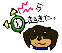 Cute my dog,Mash sticker #6561329