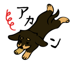 Cute my dog,Mash sticker #6561330