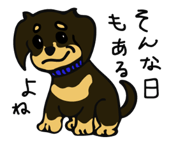 Cute my dog,Mash sticker #6561331