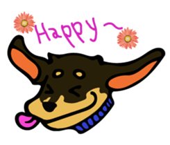 Cute my dog,Mash sticker #6561332