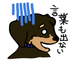Cute my dog,Mash sticker #6561334