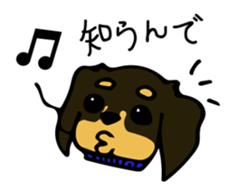 Cute my dog,Mash sticker #6561337
