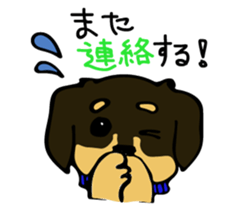 Cute my dog,Mash sticker #6561339