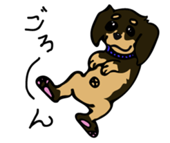 Cute my dog,Mash sticker #6561342