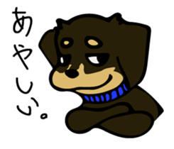 Cute my dog,Mash sticker #6561343