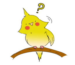 nymphicus hollandicus  okame sticker #6561744