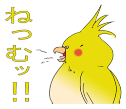 nymphicus hollandicus  okame sticker #6561749