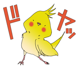 nymphicus hollandicus  okame sticker #6561750