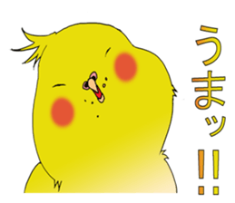 nymphicus hollandicus  okame sticker #6561751