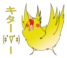 nymphicus hollandicus  okame sticker #6561753