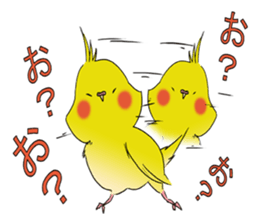 nymphicus hollandicus  okame sticker #6561756