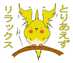 nymphicus hollandicus  okame sticker #6561758