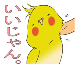 nymphicus hollandicus  okame sticker #6561761