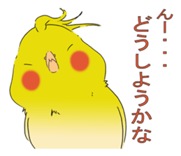 nymphicus hollandicus  okame sticker #6561764