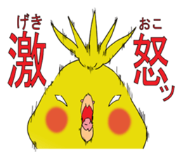 nymphicus hollandicus  okame sticker #6561765