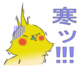 nymphicus hollandicus  okame sticker #6561768