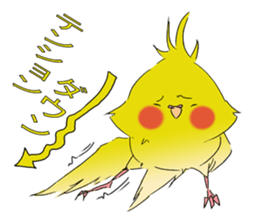 nymphicus hollandicus  okame sticker #6561773