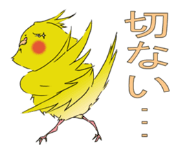 nymphicus hollandicus  okame sticker #6561777