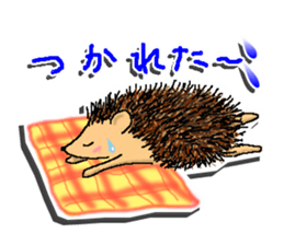 The 1st of hedgehog Hopi. sticker #6561835