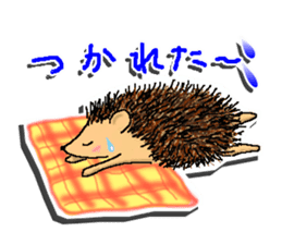 The 1st of hedgehog Hopi. sticker #6561835