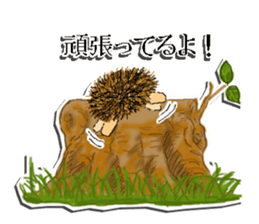 The 1st of hedgehog Hopi. sticker #6561840