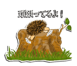 The 1st of hedgehog Hopi. sticker #6561840