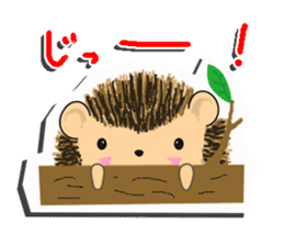 The 1st of hedgehog Hopi. sticker #6561842