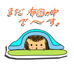 The 1st of hedgehog Hopi. sticker #6561850